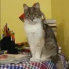 Отзыв от Наиля Суркова